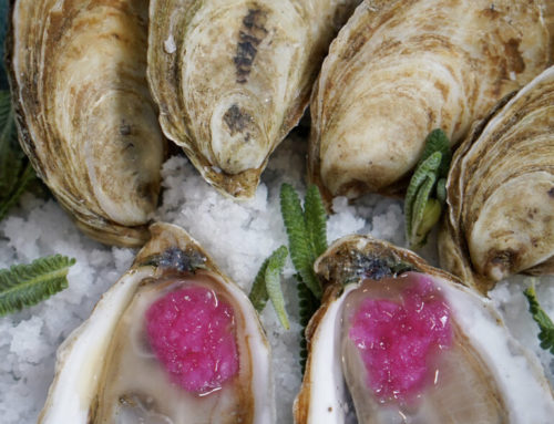 What do Oysters Taste Like?