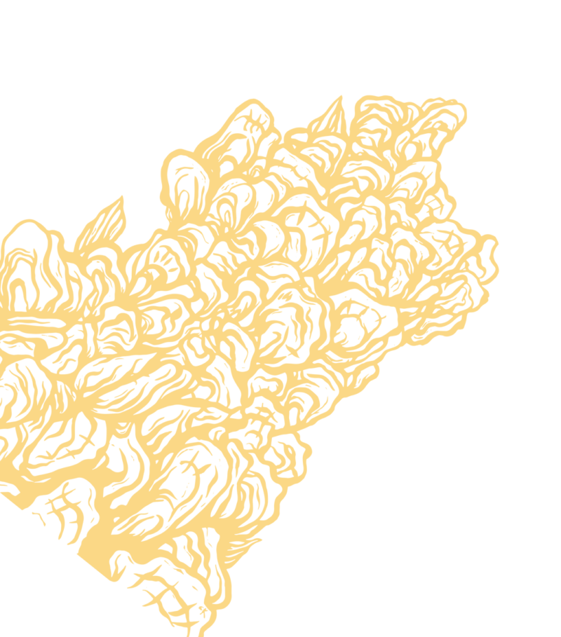 Premier Fish Market & Seafood Charleston, SC CudaCo.